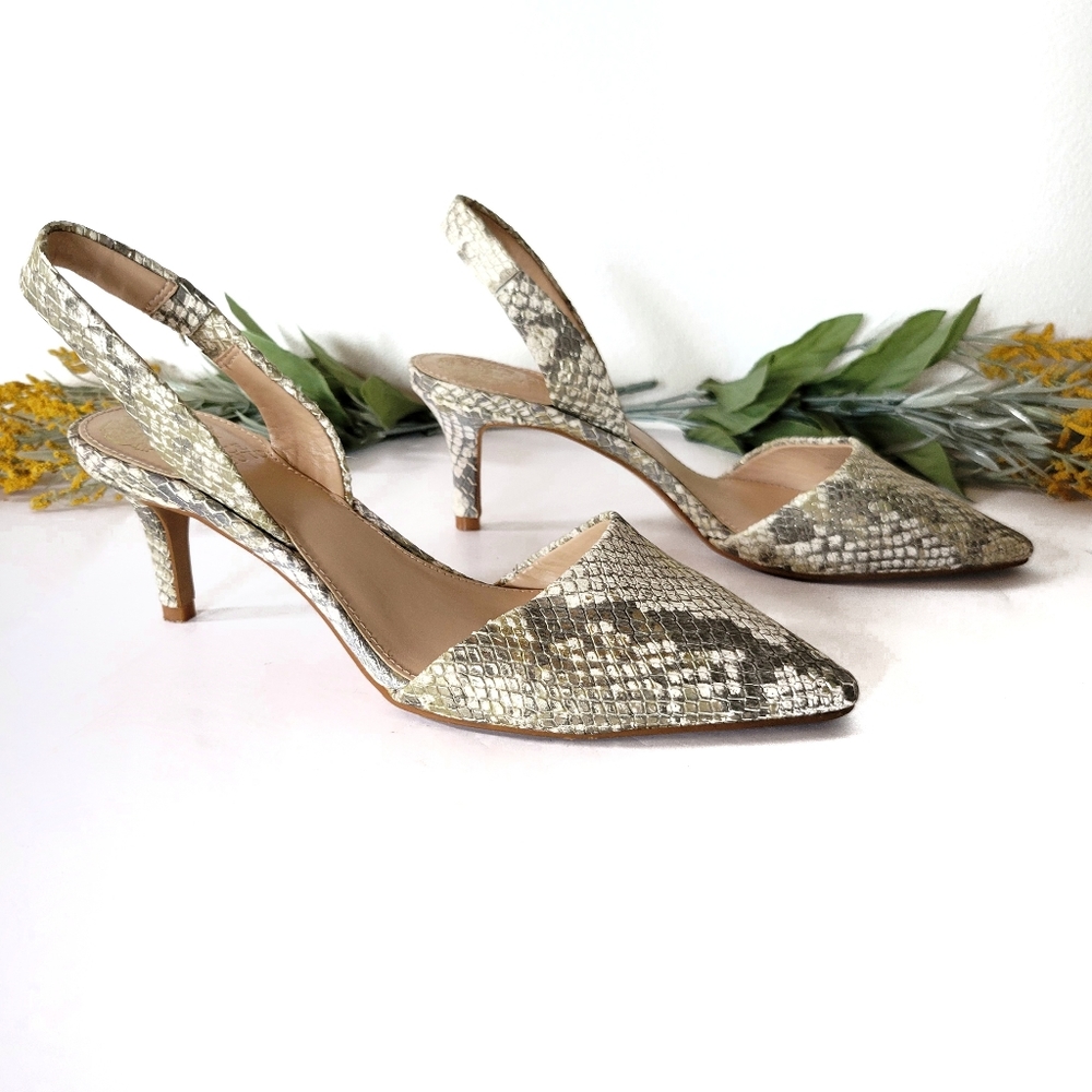 Vince Camuto Kolissa Snakeskin Pointed Toe Kitten Heels Size 7